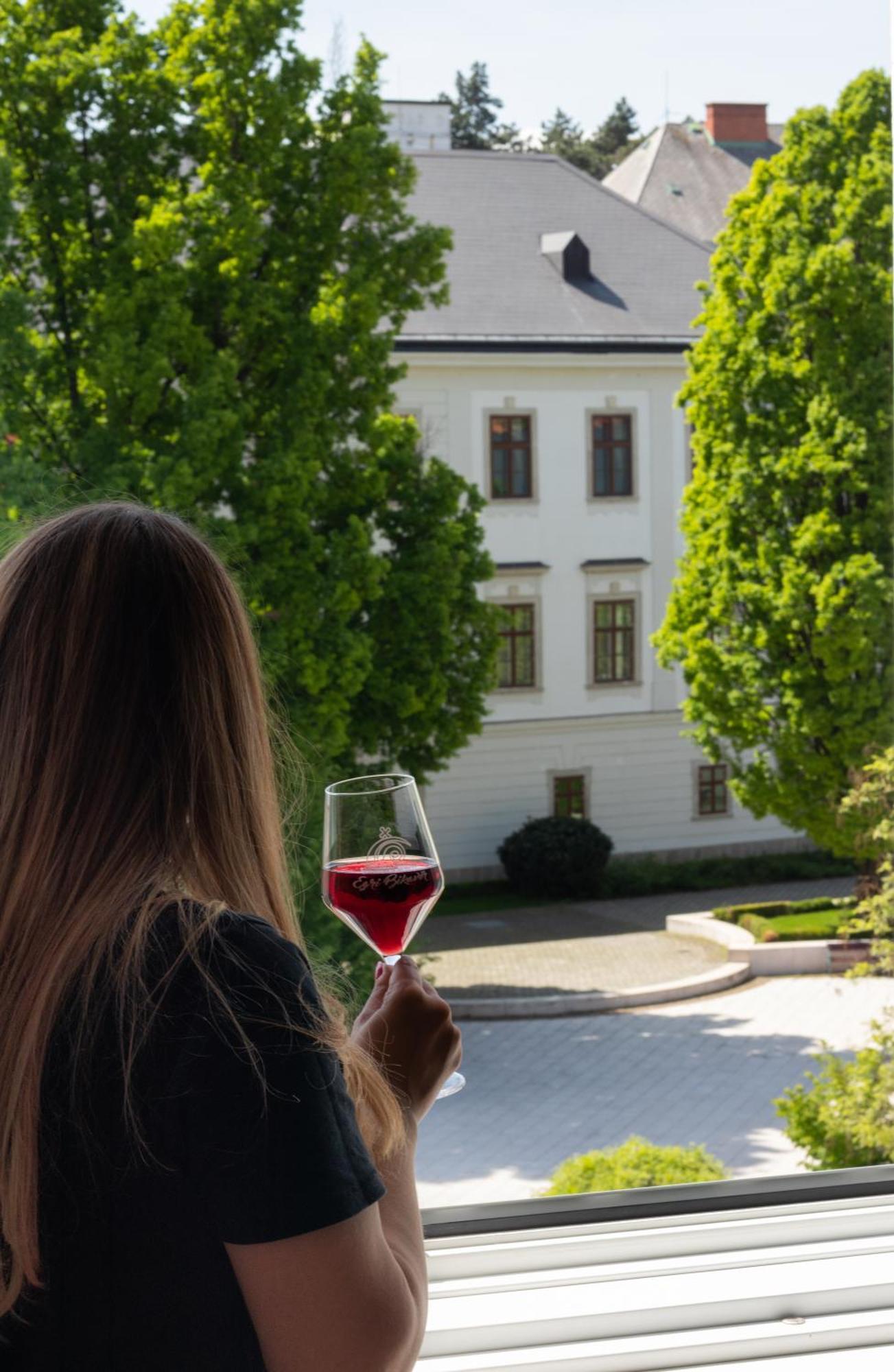Suzy Apartman Eger Bagian luar foto